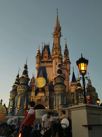 The Cinderella Castle at Disney World.