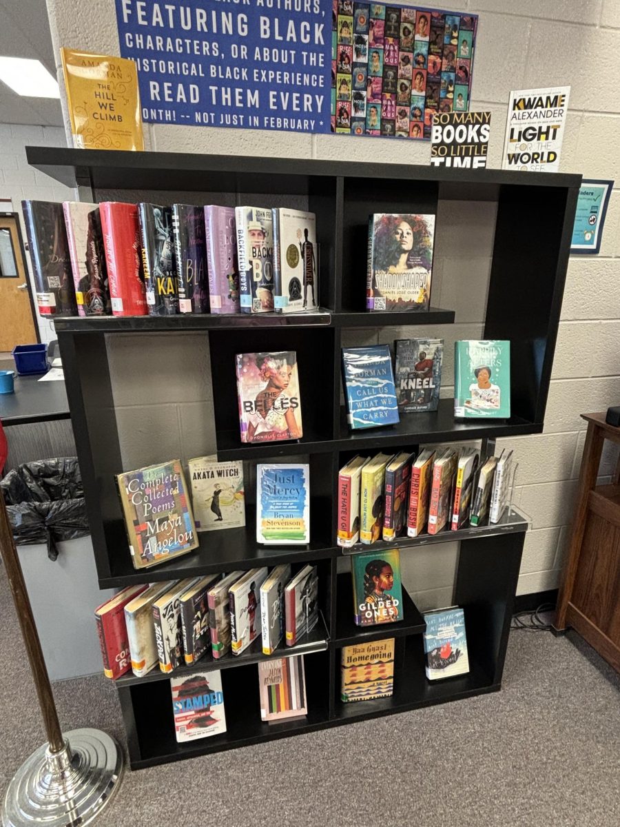 Book case in the media center to show stories written or about African-Americans. 